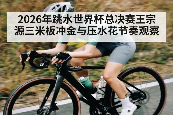 2026年跳水世界杯总决赛王宗源三米板冲金与压水花节奏观察